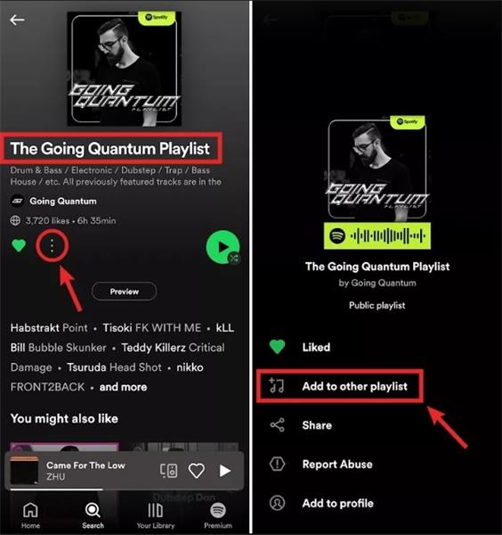 copy the playlist on mobile