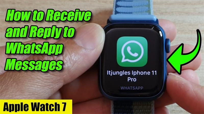 reply to messages via whatsapp