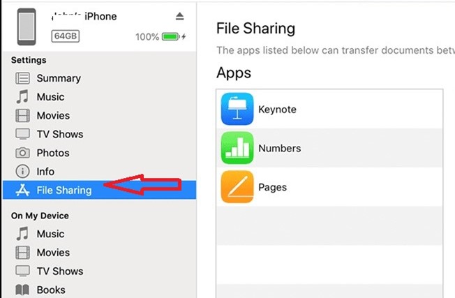 Aprire la condivisione di file per visualizzare i file di iPhone sul computer