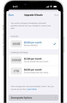 Los planes de los precios se muestran en iCloud