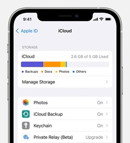 خيار manage storage في icloud في جهاز iphone
