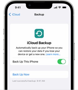 back up the iphone from icloud