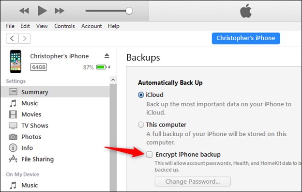 Backup dell'iPhone SE con iTunes