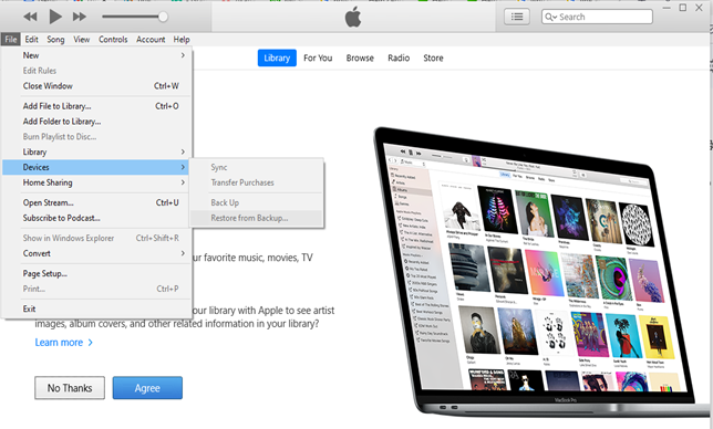  backup della linea tramite itunes 2