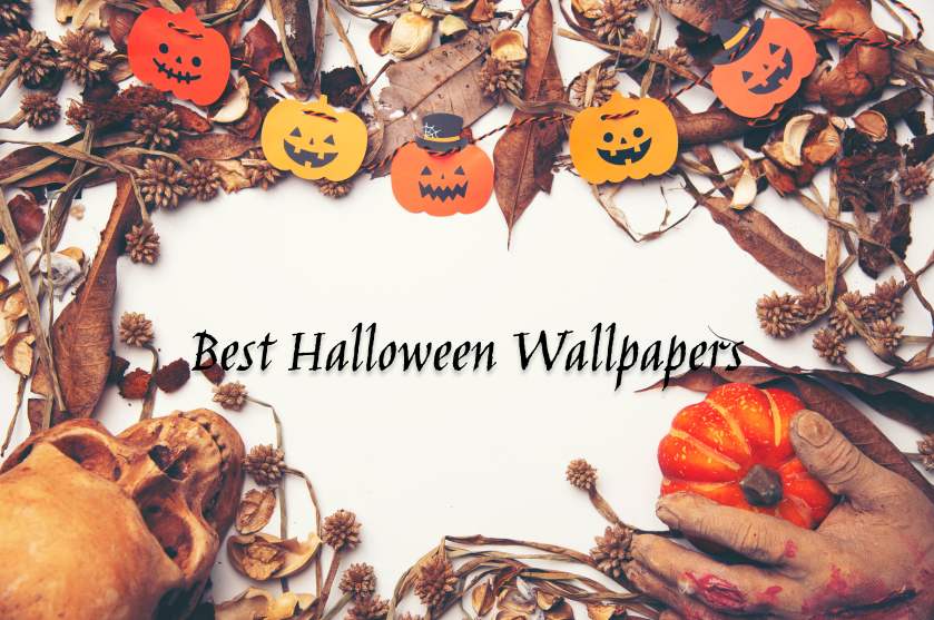 Best Halloween Wallpapers to Revamp Your Phone [2024]