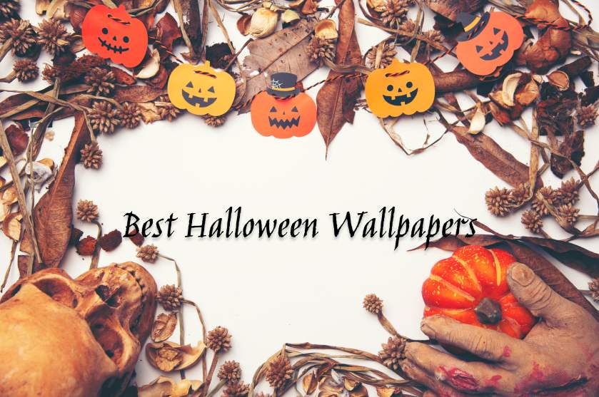 Halloween Gif Background, Halloween Image Wallpapers Pumpkin, Halloween  Picture Art, Halloween Background Image And Wallpaper for Free Download