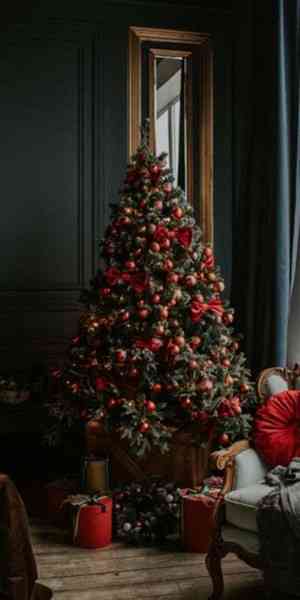 Обои с украшенной рождественской елкой 