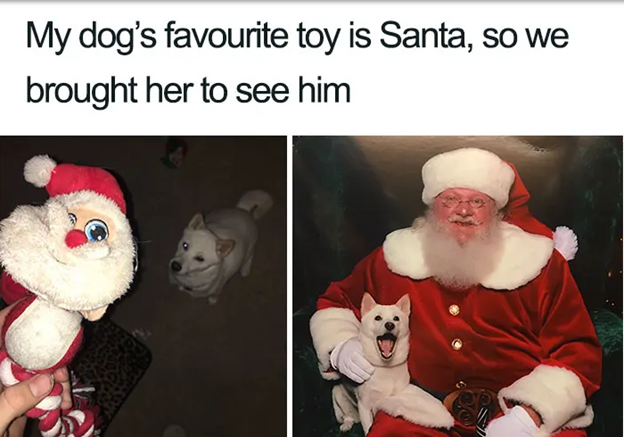 santa with a dog