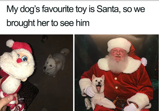 santa con un perro