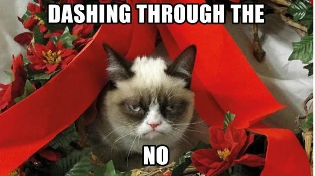 cat christmas meme