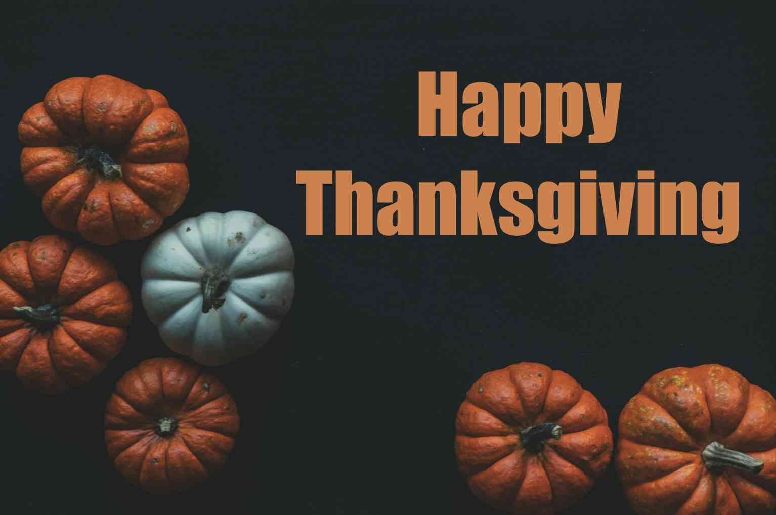 Happy Thanksgiving GIFs/Cliparts/Banners to Vitalize the Day