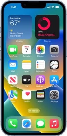 Illustration of Home Screen on iPhone2