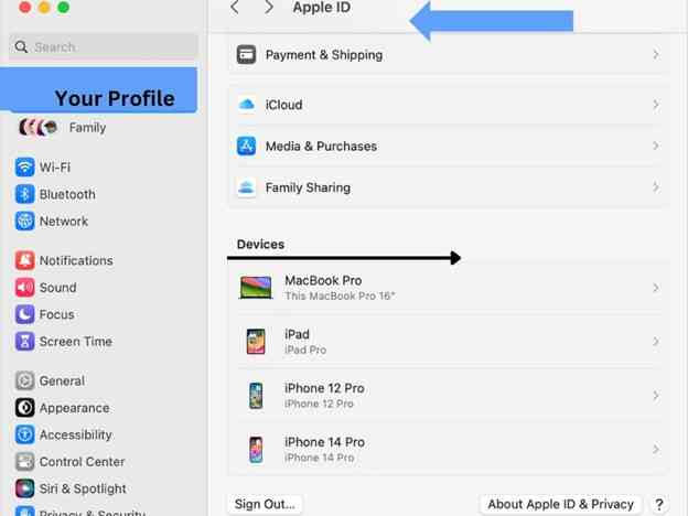 Profilo delle impostazioni di Apple id ipad