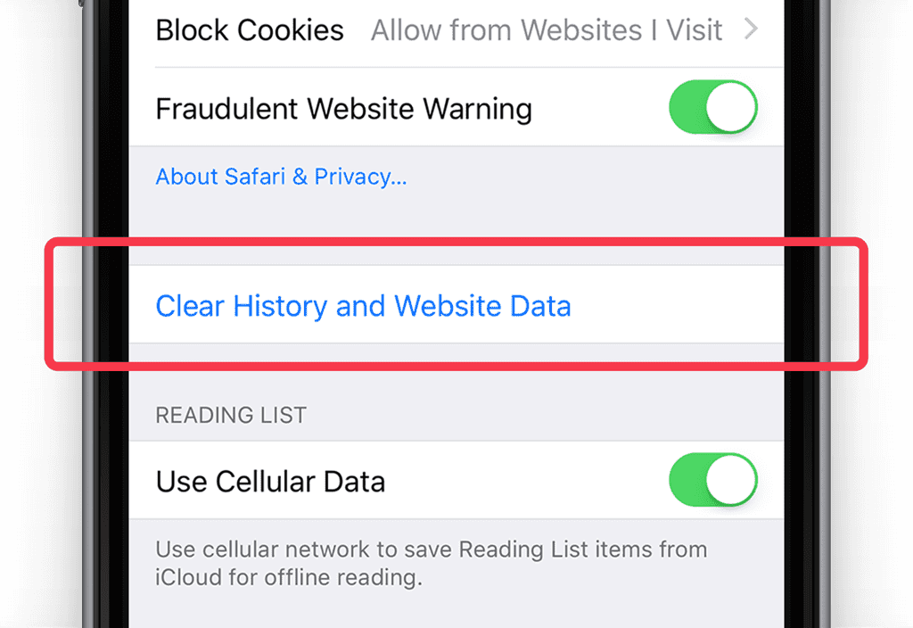 clear history and website data iphone 15