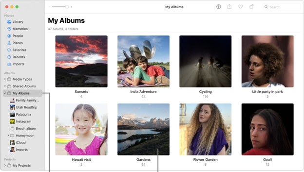 Illustration of browsing through albums or using search bar in icloud Photos section
