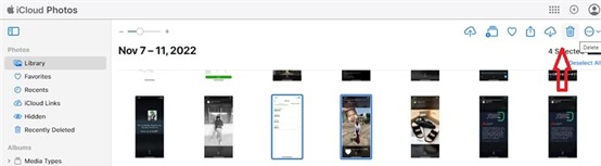 delete icon in iCloud photos