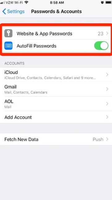 abilitare l'autofill delle password su iPhone 15 