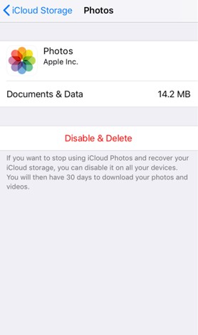 disable and delete from iCloud
