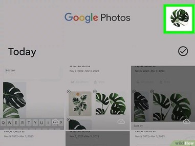 Accede a tu perfil en Google Fotos