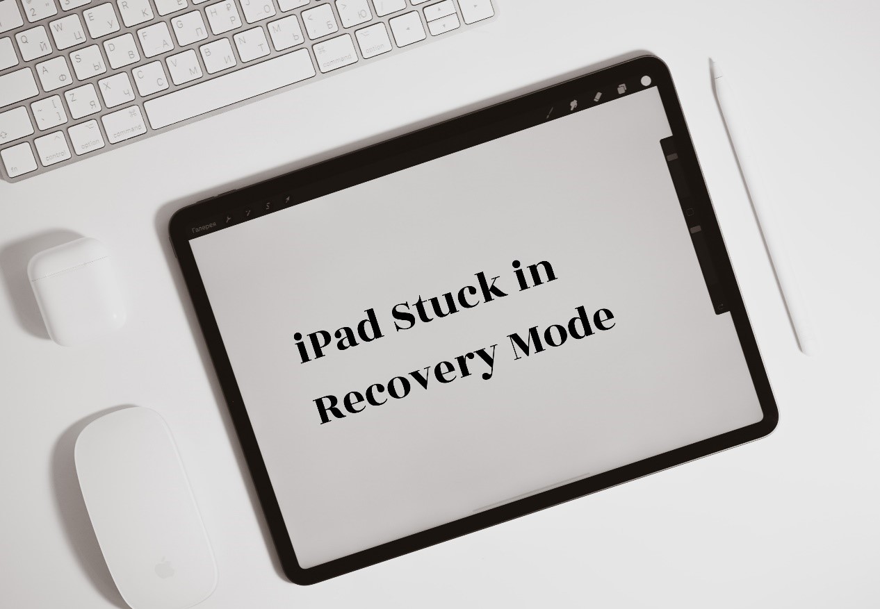 Solutions to iPad Stuck in Recovery Mode [2024]