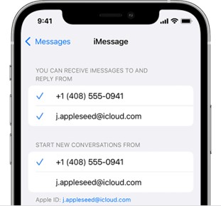 sign in the messages with your correct apple id