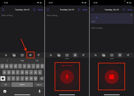 tap the red recorder to create a voice note in the journal entry