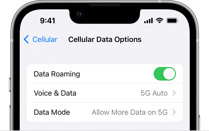 Opções de dados celulares no iPhone