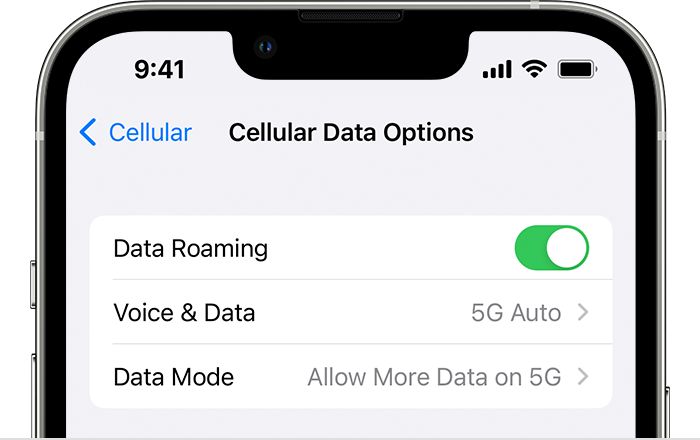 Opzioni dati cellulari iphone