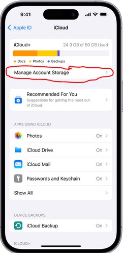 Controllare i dati e le dimensioni del ultimo backup del tuo iphone