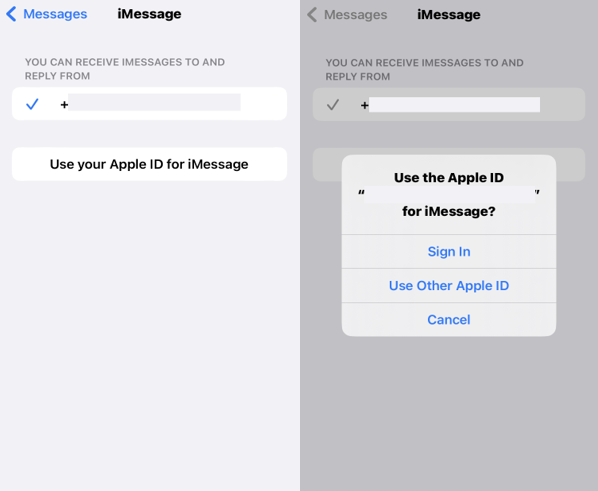 sign into your Apple ID for imessage.