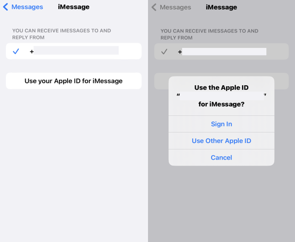 accedi al tuo ID Apple per iMessage.