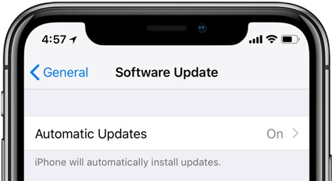 turn on automatic software update