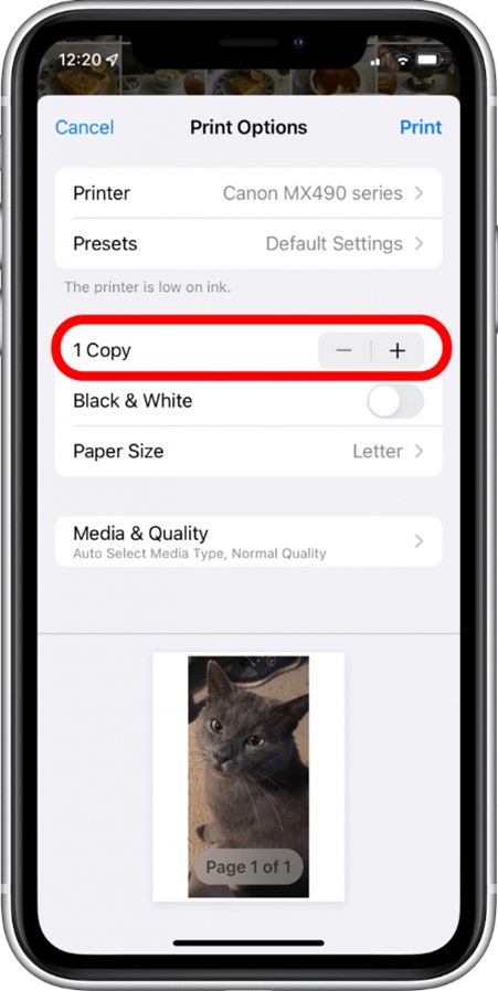 faire des copies de votre impression en appuyant sur les touches plus et moins