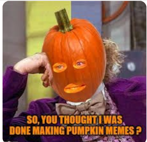 pumpkin meme with a cute cat