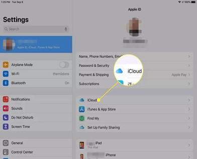 go to apple account and then icloud settings
