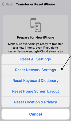  tap Reset Network Settings