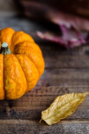 Pumpkin kept beside dried leaf