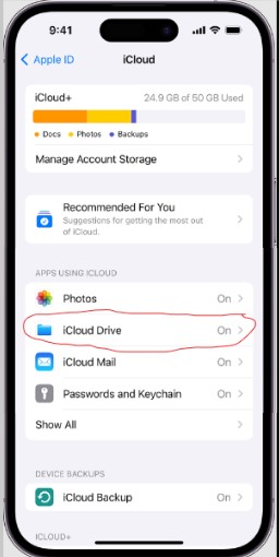 Abra o iCloud no iPhone e carregue os dados para transferir para o computador