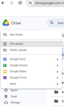 click the add button on your drive then choose an option to upload data