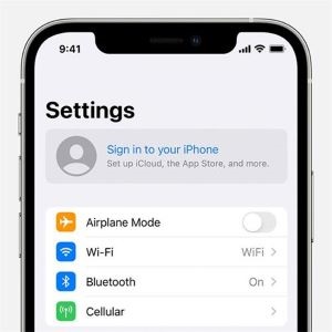 sign in to your iphone option