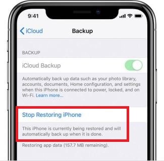 stop restoring iphone option