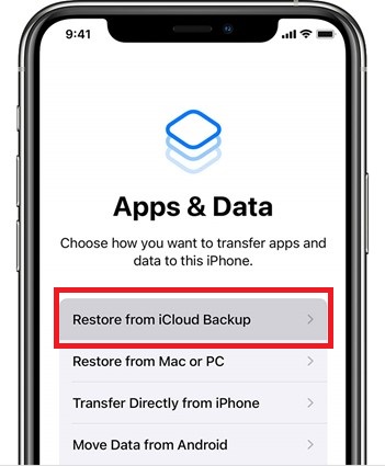 restore from icloud backup option