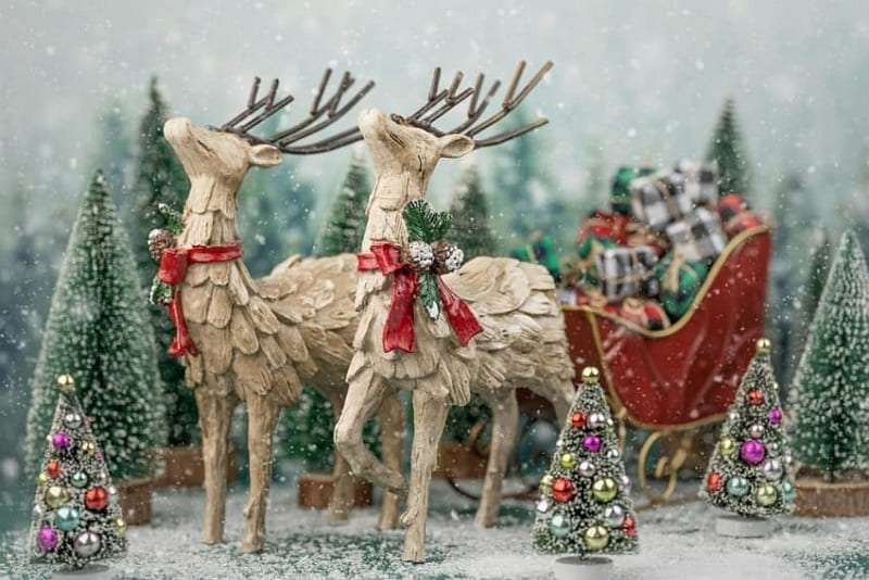 reindeer and sleigh for dp 