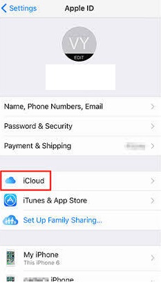 icloud option