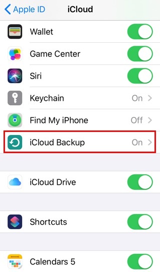 icloud backup option