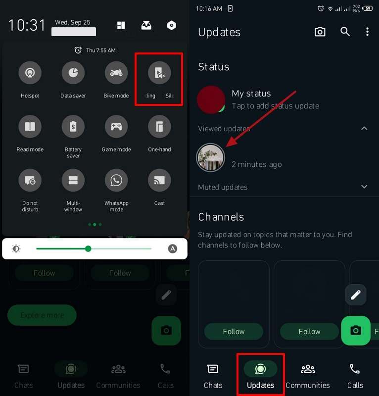 choose recording icon and capture status