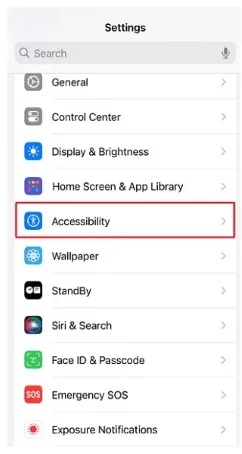 accessibility option