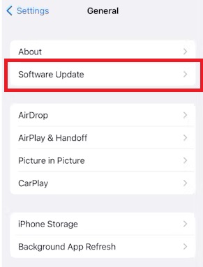 software update option