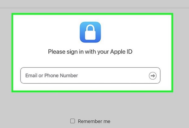 sign in to the icloud account you wish to delete