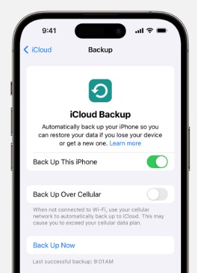 activa la función de copia de seguridad de este iphone para activar la copia de seguridad automática en icloud